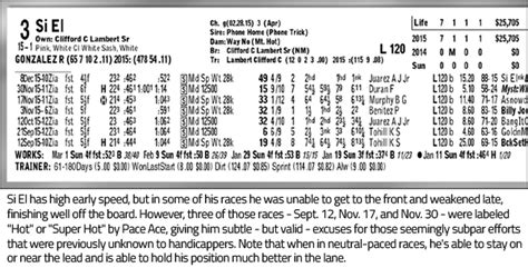 drf past performances|Understanding Daily Racing Form Past Performances.